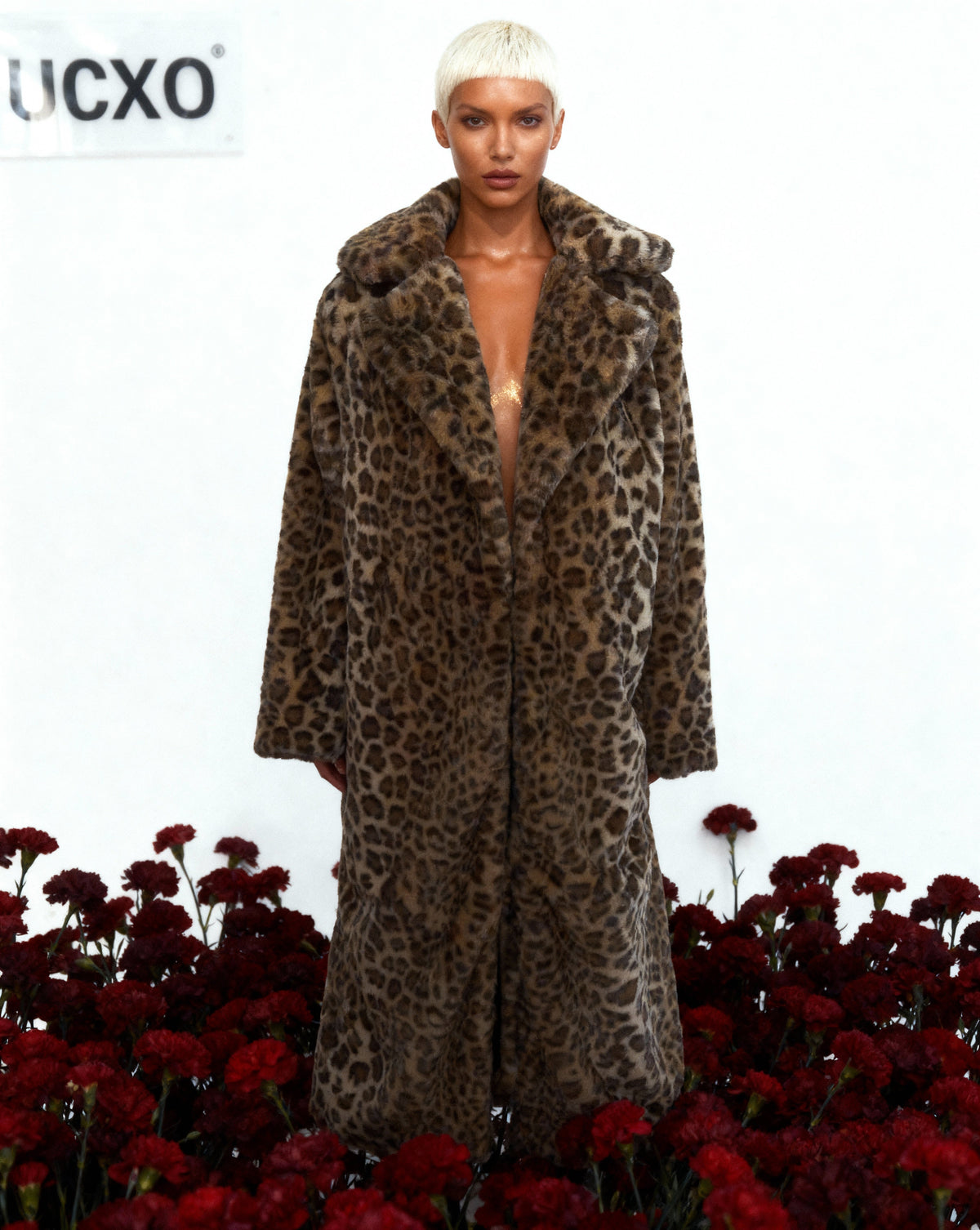 Cocoa Leopard Faux-Fur Coat – Full-Length Leopard Print Winter Coat – view 6